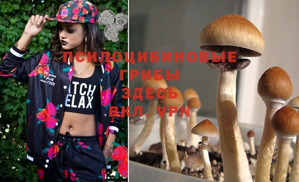 MESCALINE Ельня