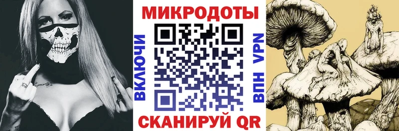 Галлюциногенные грибы Psilocybine cubensis  Купить где  Холм 